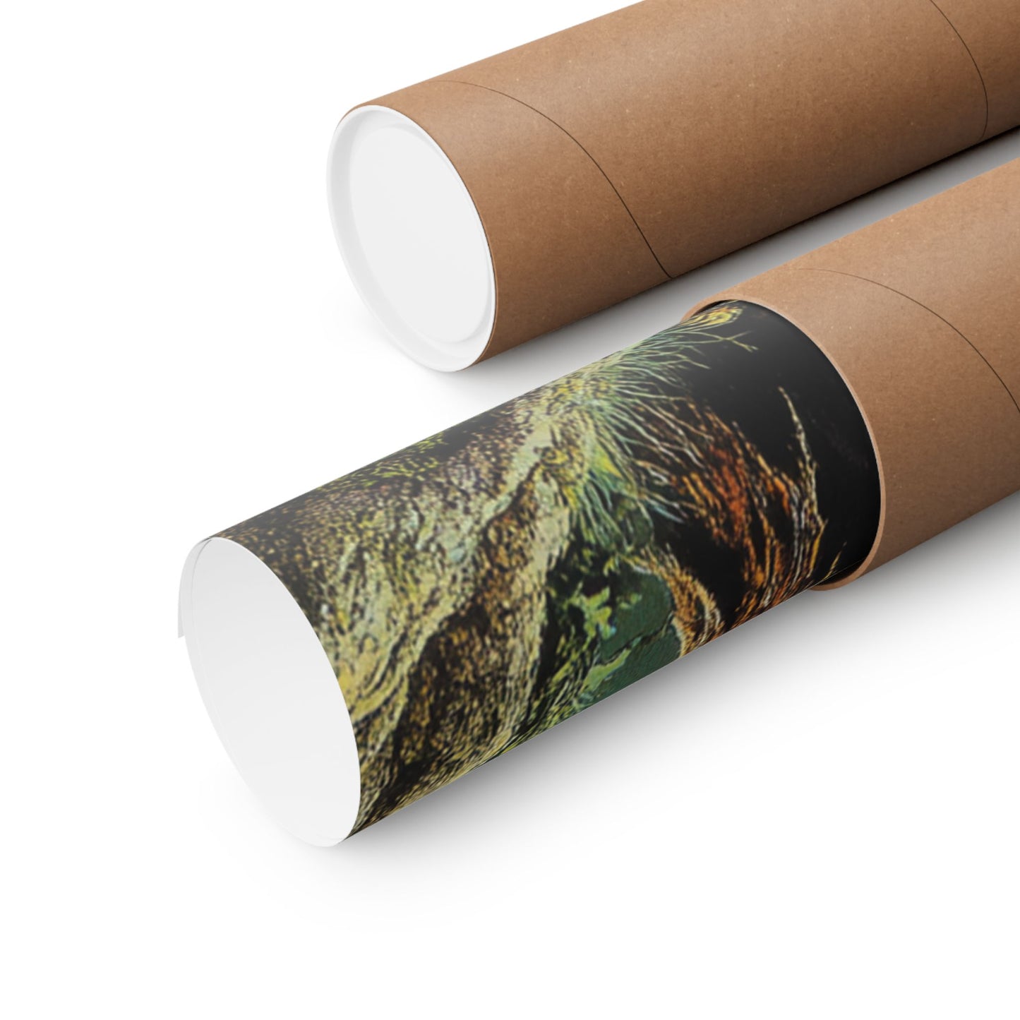 Funglet Poster