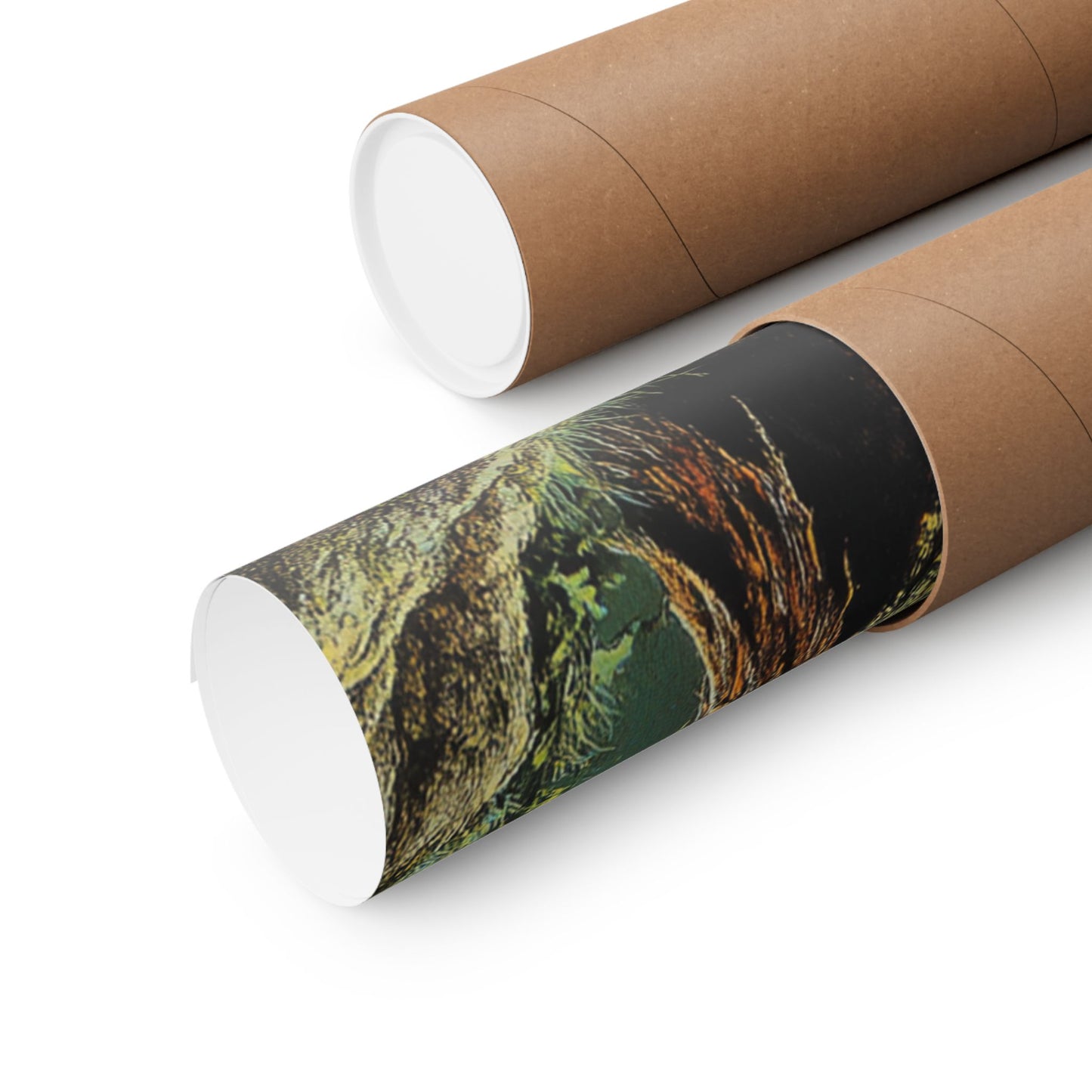Funglet Poster